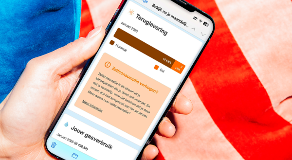 Mockup Smartphone Pure Energie 2025 Teruglevering