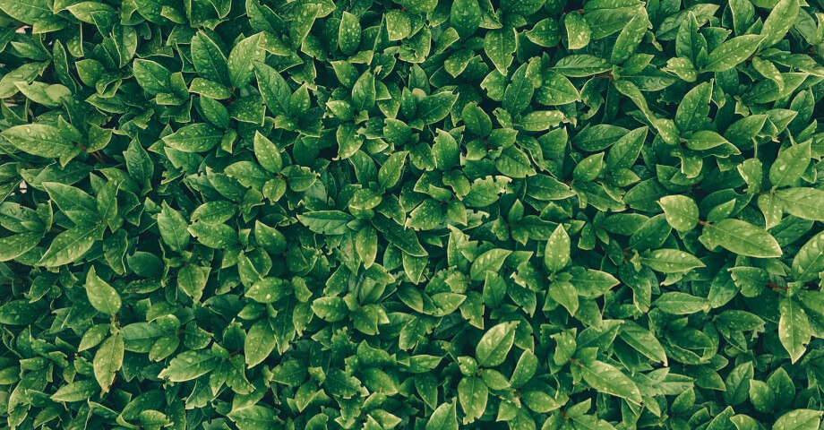 Header Pure Energie Case 2