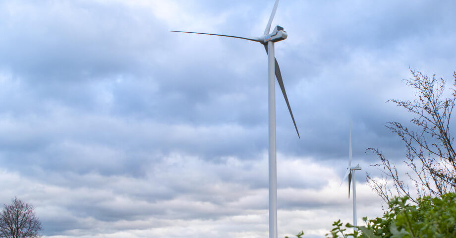 Header Windpark Bijvanck