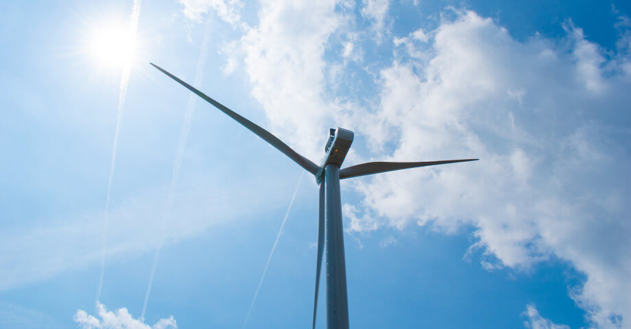 Header Windpark Zeewolde Pure Energie