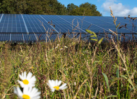 Header Zonnepark Pure Energie