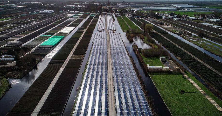 Zonnepark Hazerswoude Laurier 2