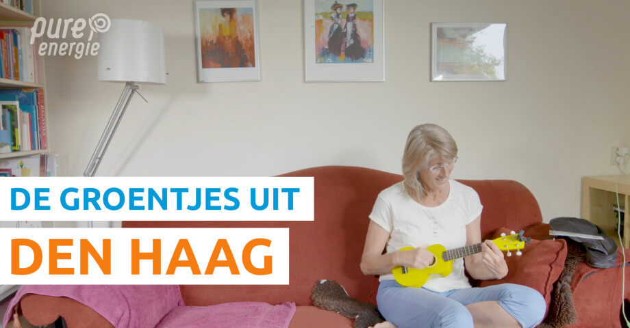 Miniatuur De groentjes uit DenHaag