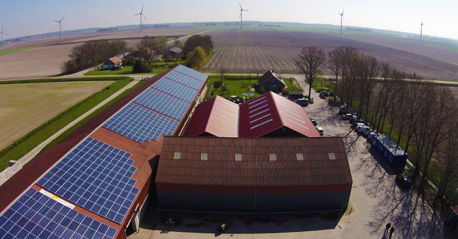 Zonnepanelen vs windmolens
