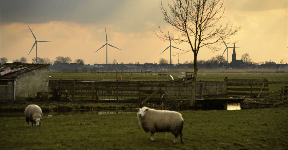 eb160305 gouda windmolens14